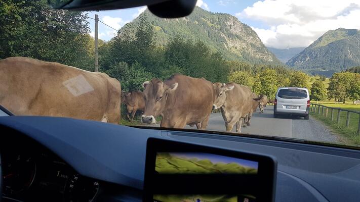 Trainingslager in Oberstdorf – Bild 1