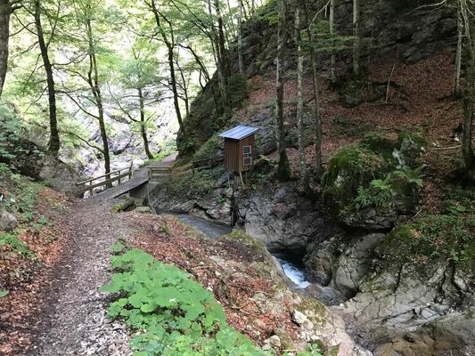 Trainingslager in Oberstdorf – Bild 23